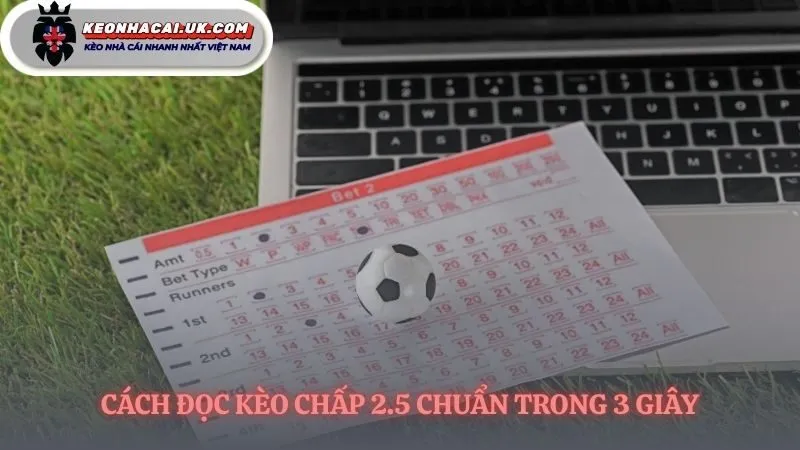 Giải mã kèo chấp 2.5 chỉ trong một cái chớp mắt
